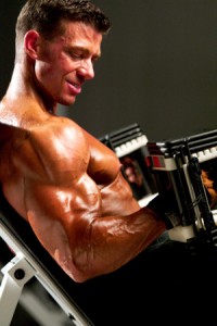 hammer culrs bodybuilding.com